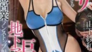 FNS-136 Fan service too big-breasted underground idol’s secret business non-stop ejaculation photo shoot Yamashita Sawa